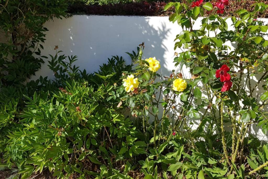 Villa Le Clos De Chacha Carly Exterior foto